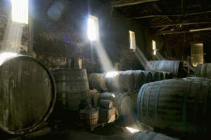 Armagnac barrels